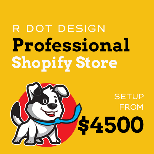 Professional Shopify Store Setup